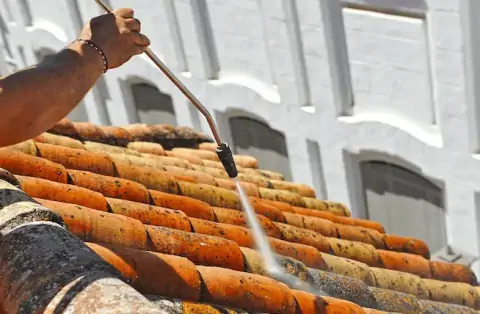 Nettoyage de toitures - Algrange